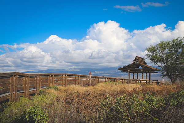 Kealia Trail pond boardwalk