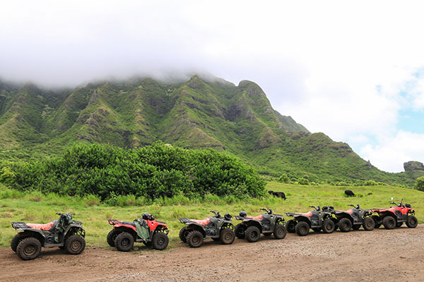 Line of ATV's on an Oahu tour