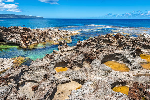 Pupukea Sharks Cove