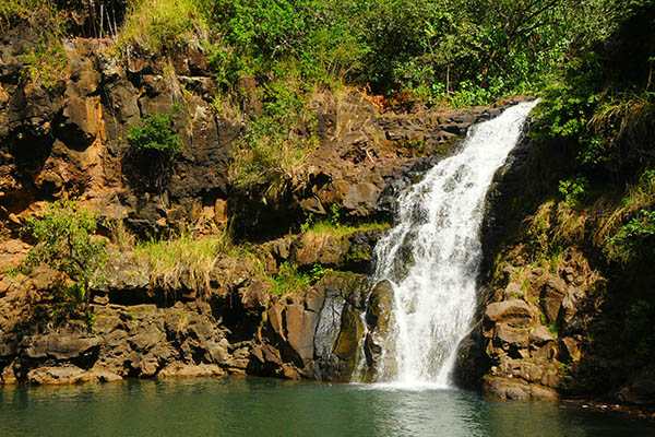 Waimea Valley Falls